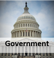 Government